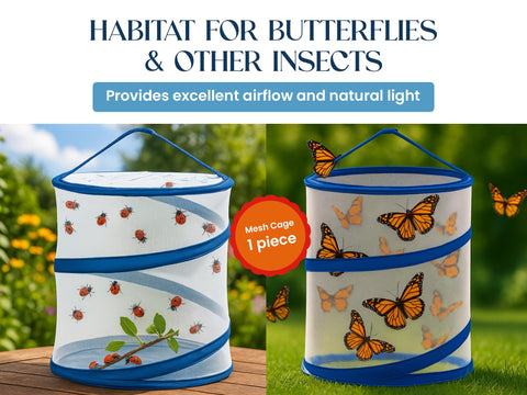 Nature Gift Store butterfly habitat, top view for easy monitoring.