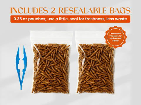Nature Gift Store dried BSF larvae bags for precise, clean feeding.