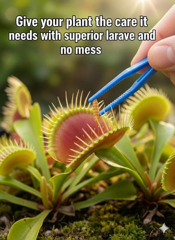 Nature Gift Store suitable for Venus flytraps, pitcher plants, and sundews.