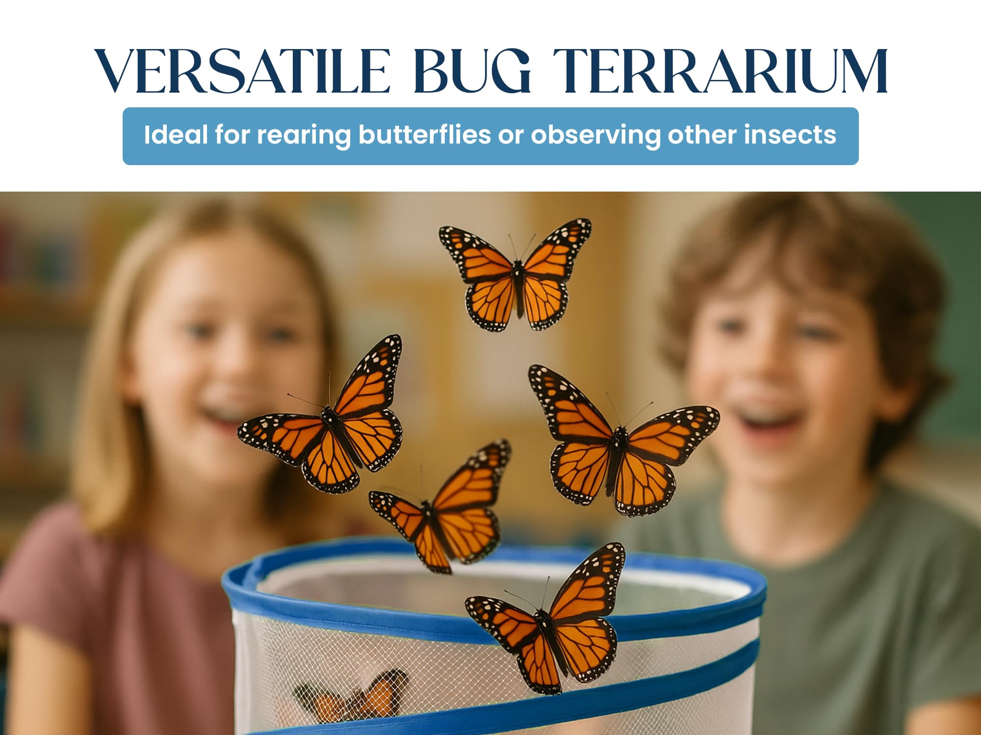 Nature Gift Store transparent walls enable quick daily checks.