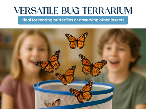 Nature Gift Store transparent walls enable quick daily checks.