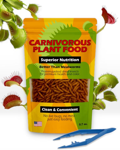 Nature Gift Store Venus Fly Trap Food Bundle with dried larvae for carnivorous plants.