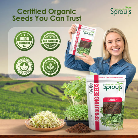 Nature Jims Radish Sprout Seeds in Salad, boosts color and crunch.