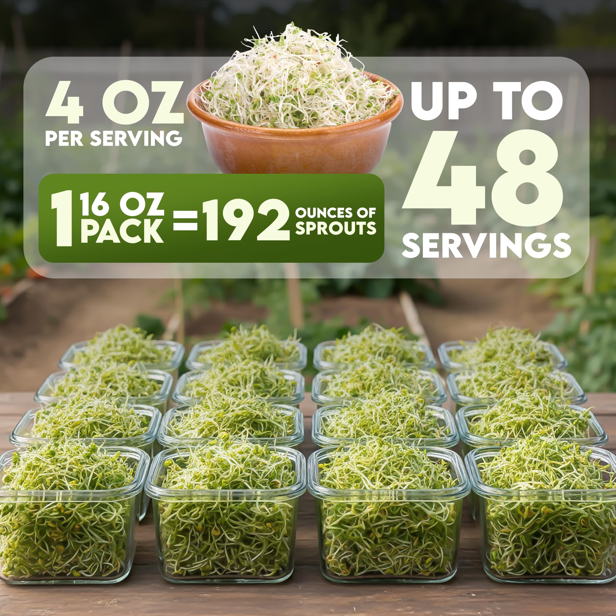 Easy sprouting guide with Nature Jims Clover Seeds for quick, nutritious sprouts.