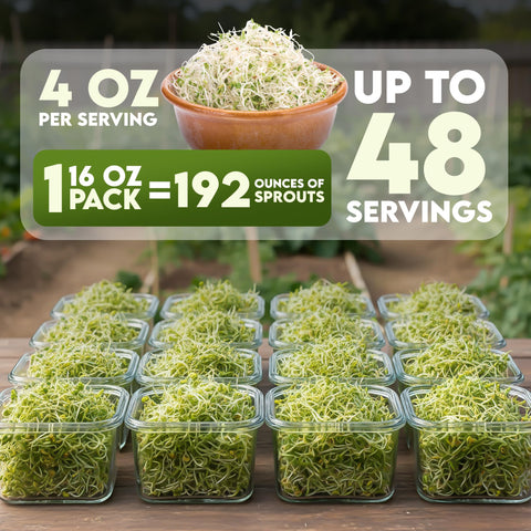 Easy sprouting guide with Nature Jims Clover Seeds for quick, nutritious sprouts.