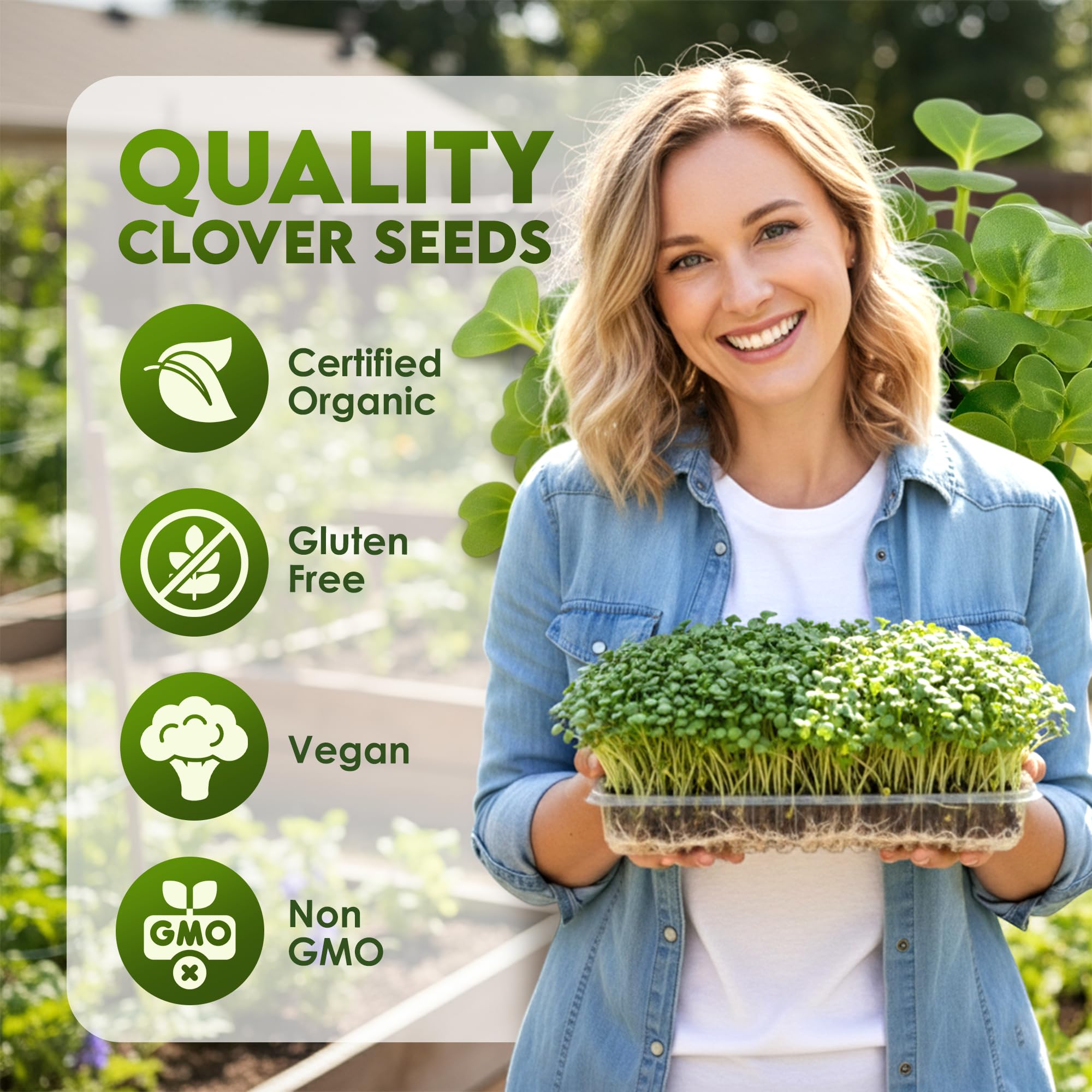 Nature Jims Sprouts Clover Seeds grown in USA, ideal for home sprouting.