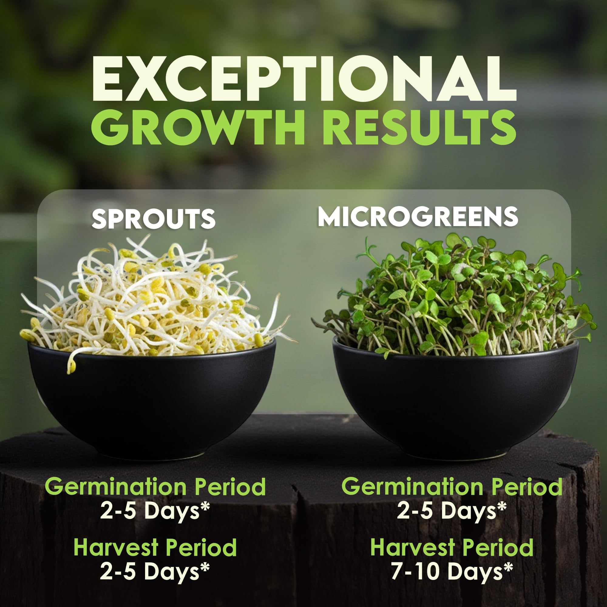 Nature Jims Sprouts clover sprouts seeds for mild, aromatic greens