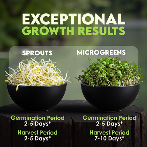 Nature Jims Sprouts clover sprouts seeds for mild, aromatic greens
