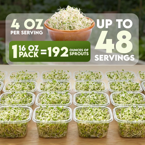 Nature Jims Sprouts easy sprouting steps ideal for beginners