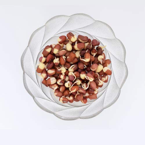 Nature Jim's Sprouts sprouts in a bowl, crunchy harvest ready for salads