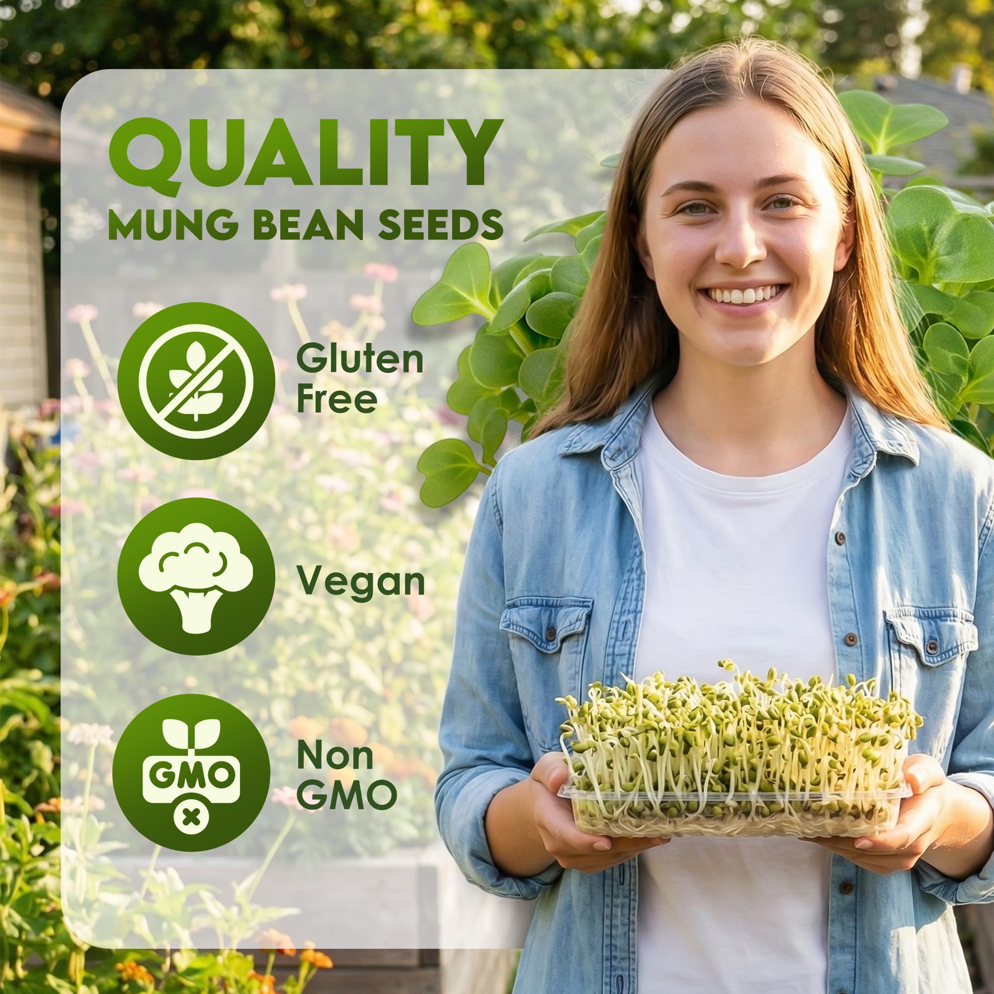 Nature Jims Sprouts mung bean seeds closeup highlights quality for reliable sprouting at home