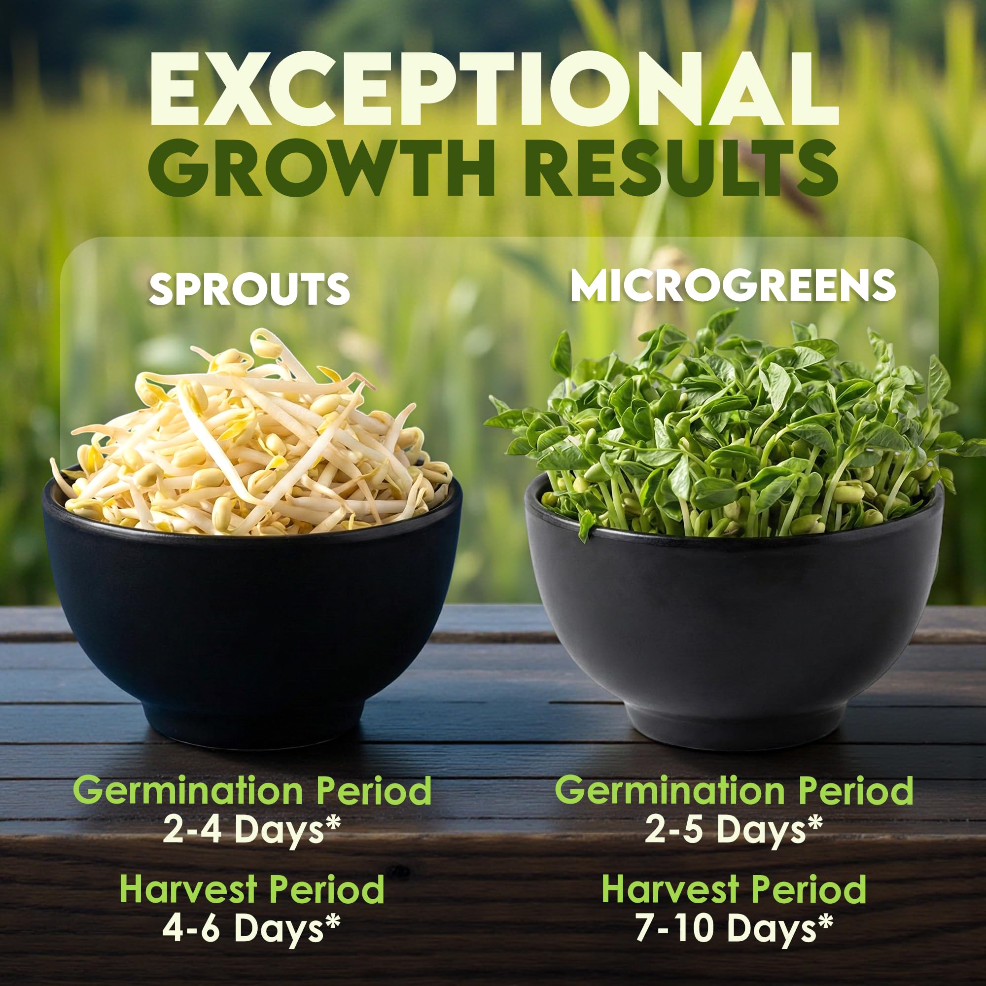 Nature Jims Sprouts mung bean sprouts ready to eat illustrate simple healthy meals