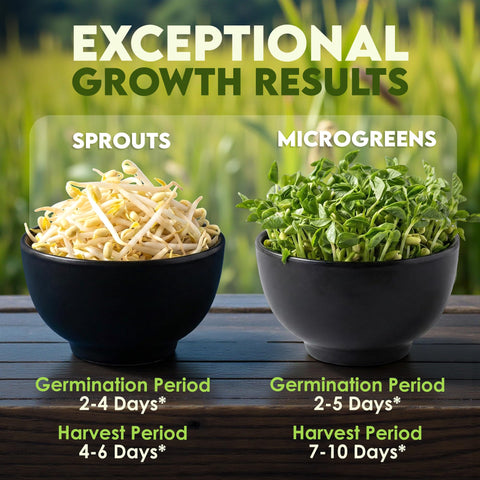 Nature Jims Sprouts mung bean sprouts ready to eat illustrate simple healthy meals