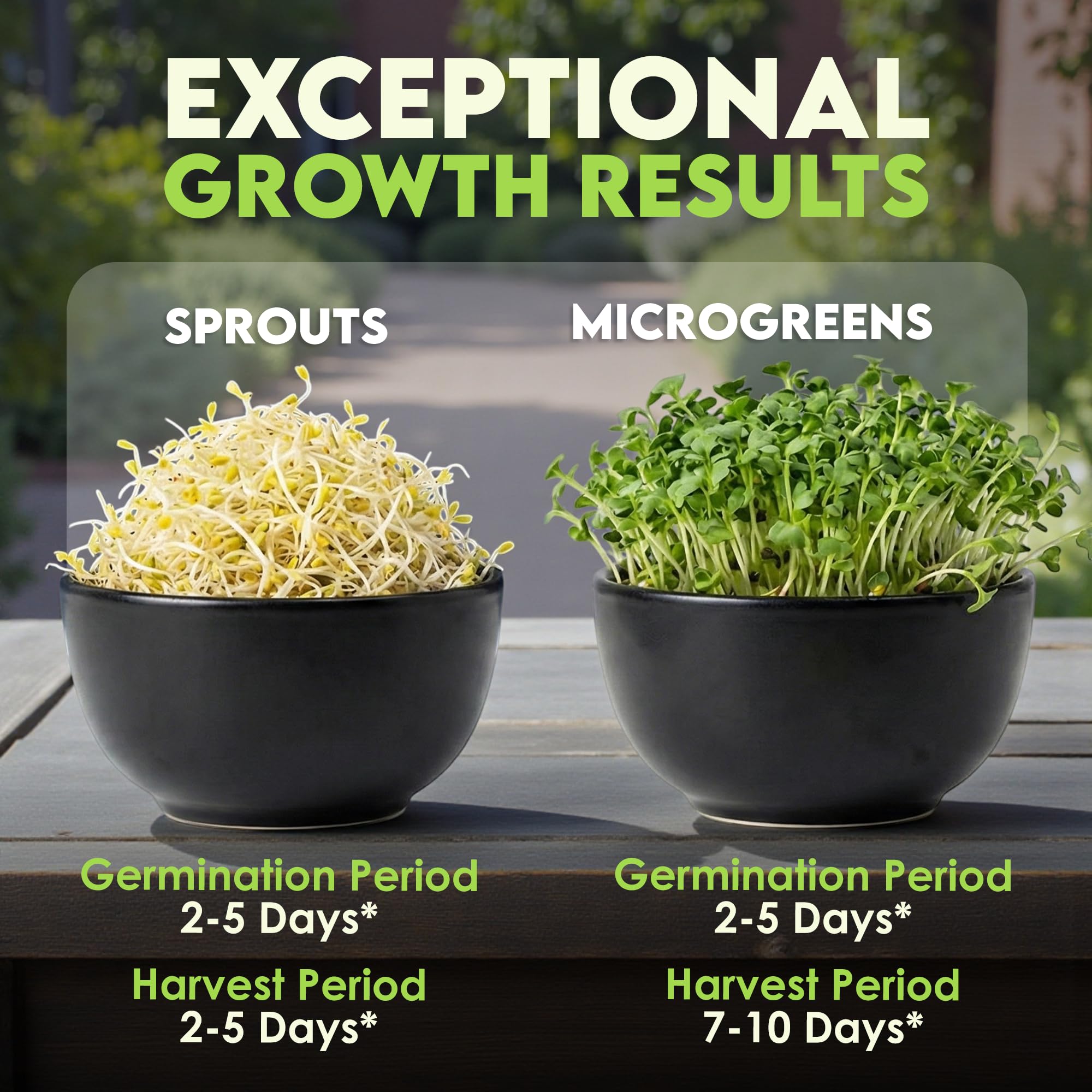 Nature Jims Sprouts non-GMO seeds ensure clean, reliable sprouts