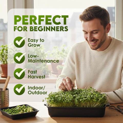 Nature Jims Sprouts radish sprouts seeds for peppery garnish
