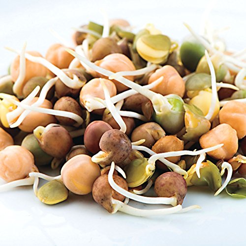 Nature Jim's Sprouts non-GMO seeds, USA-grown, premium quality
