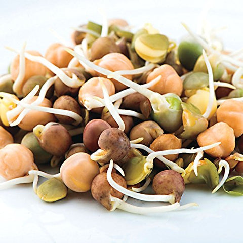 Nature Jim's Sprouts non-GMO seeds, USA-grown, premium quality