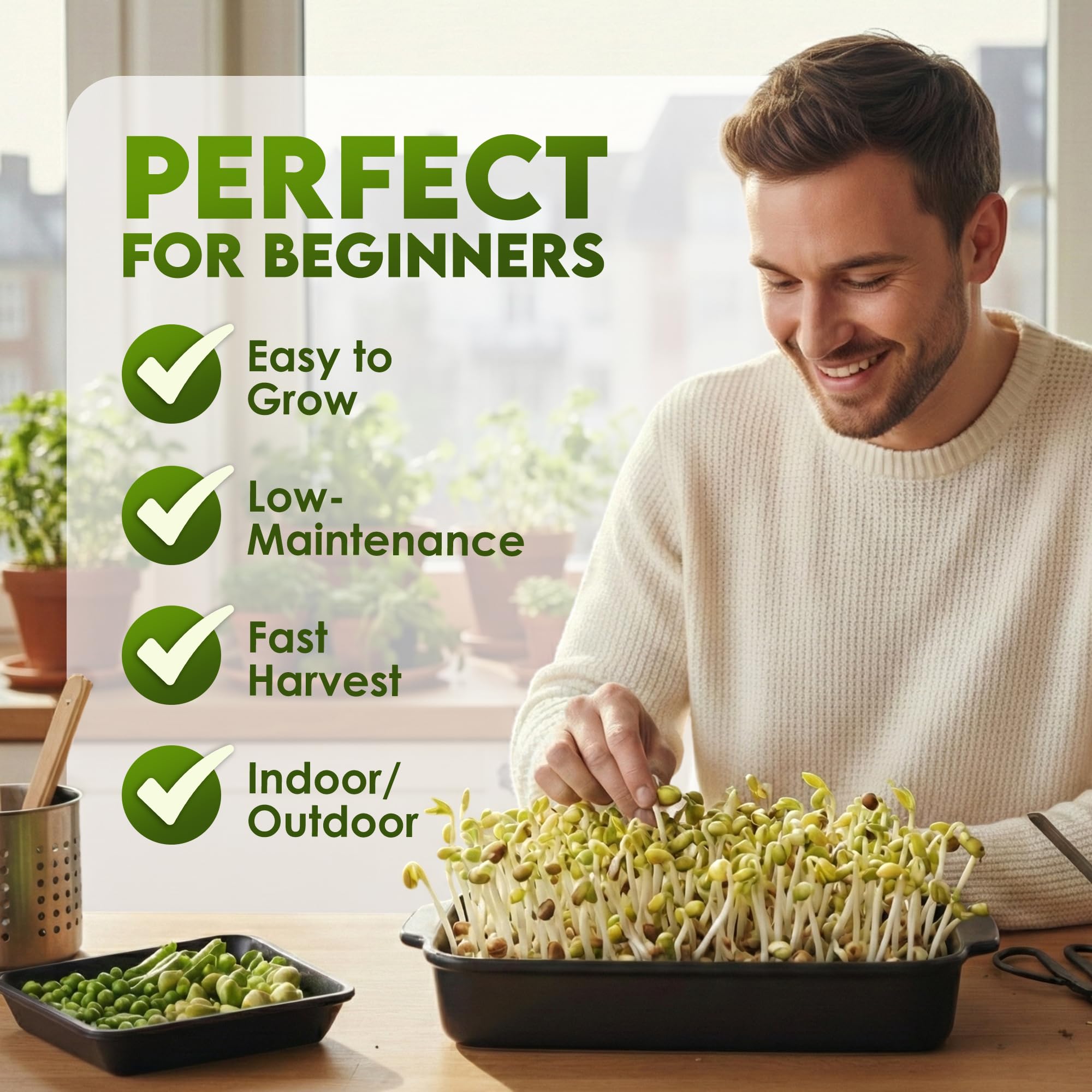 Nature Jims Sprouts sprouted mung beans in kitchen show quick, nutritious greens ready to add