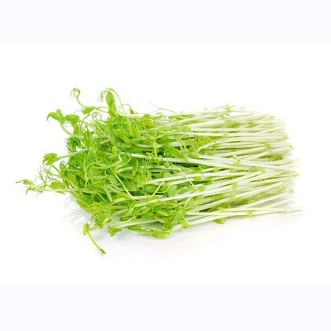 Nature Jim's Sprouts sprouting in soil in a tray for fresh home greens