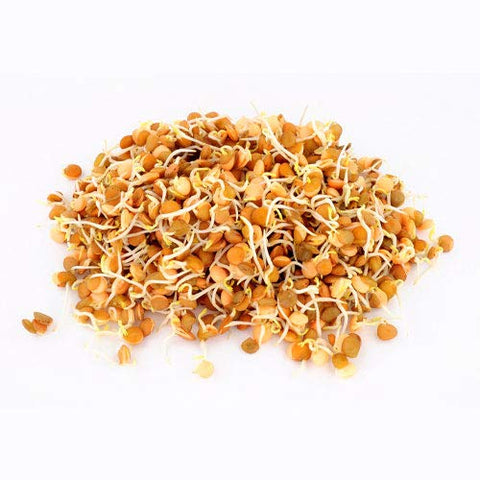 Nature Jim's Sprouts ready sprouts on a plate, versatile for meals