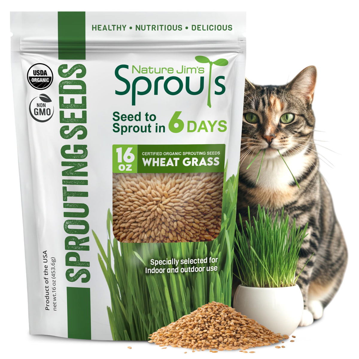 Nature Jims Sprouts wheat grass seeds bag front for easy home planting