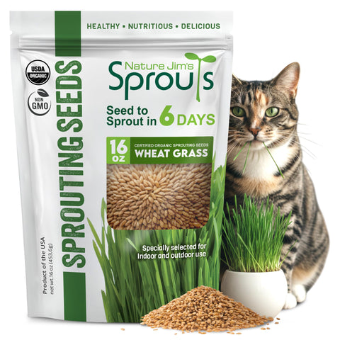 Nature Jims Sprouts wheat grass seeds bag front for easy home planting