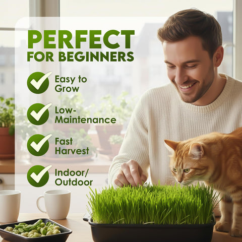 Nature Jims Sprouts cat grass seeds ready for kitty greens