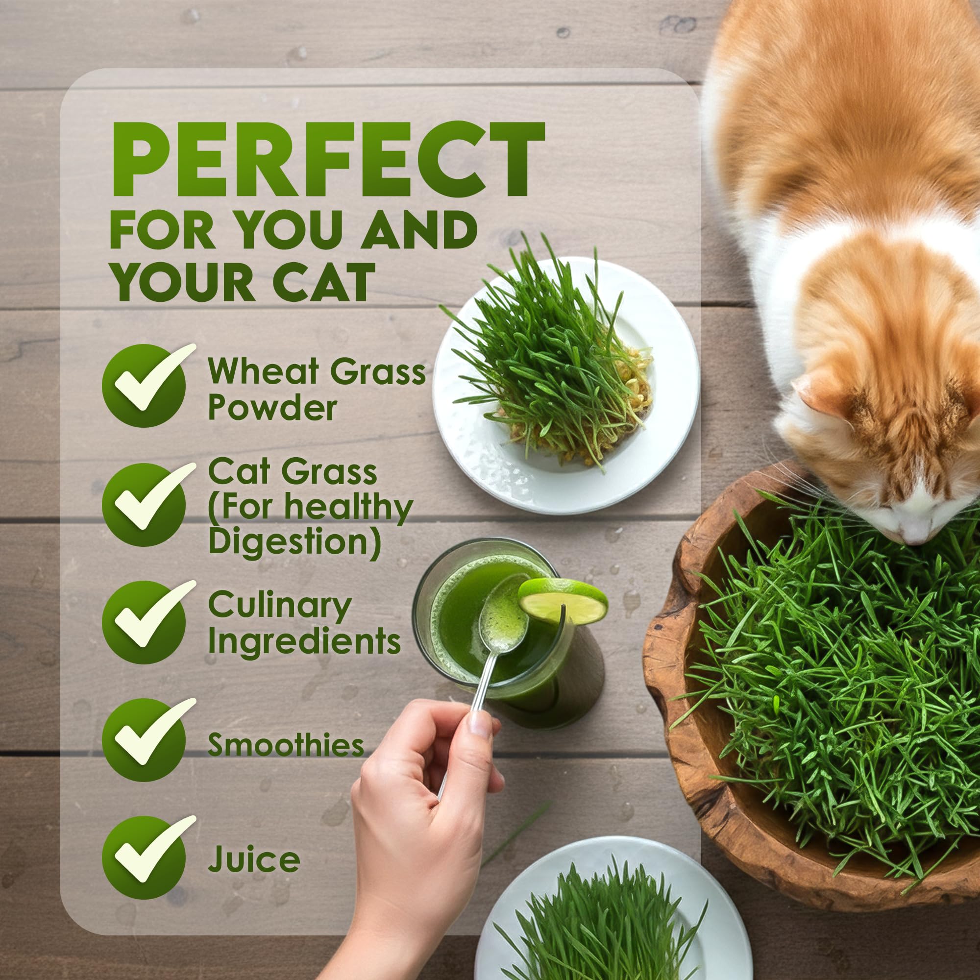 Nature Jims Sprouts organic non-GMO seeds for healthy home sprouts