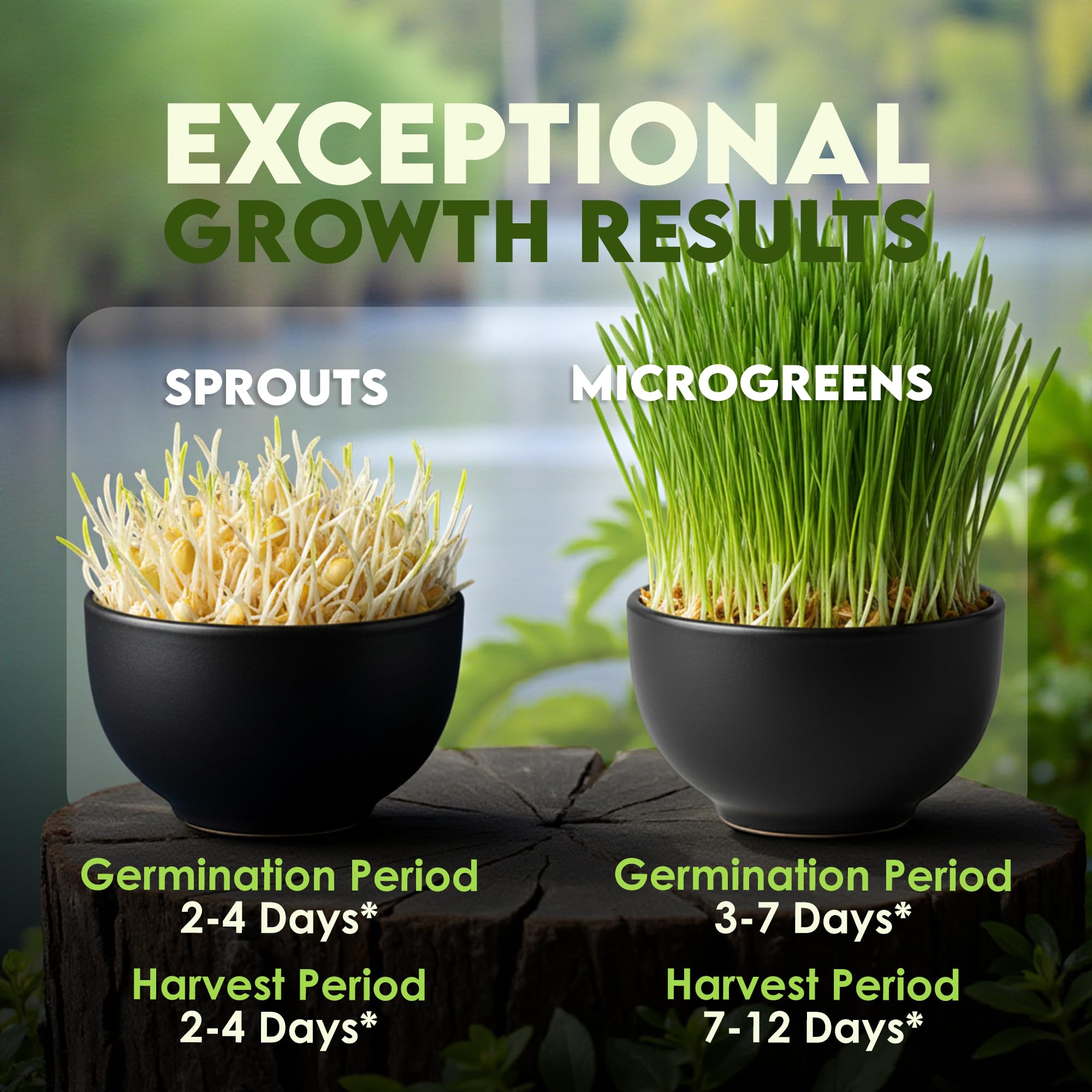 Nature Jims Sprouts sprouts in six days under ideal conditions
