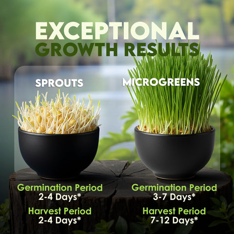 Nature Jims Sprouts sprouts in six days under ideal conditions