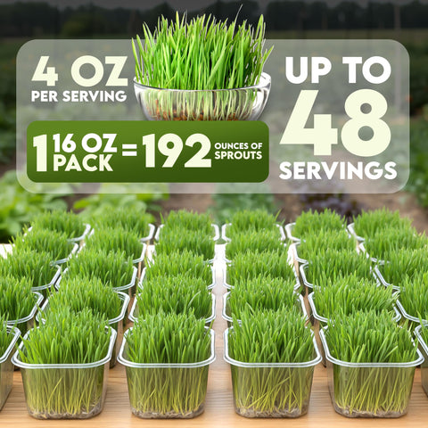Nature Jims Sprouts USA-made seeds for reliable home sprouting