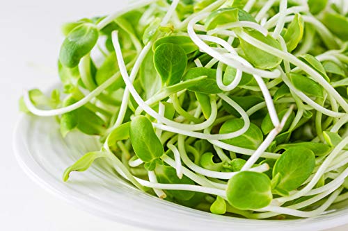 Nature Jims Sprouts sunflower sprouts enriching smoothies and bowls.