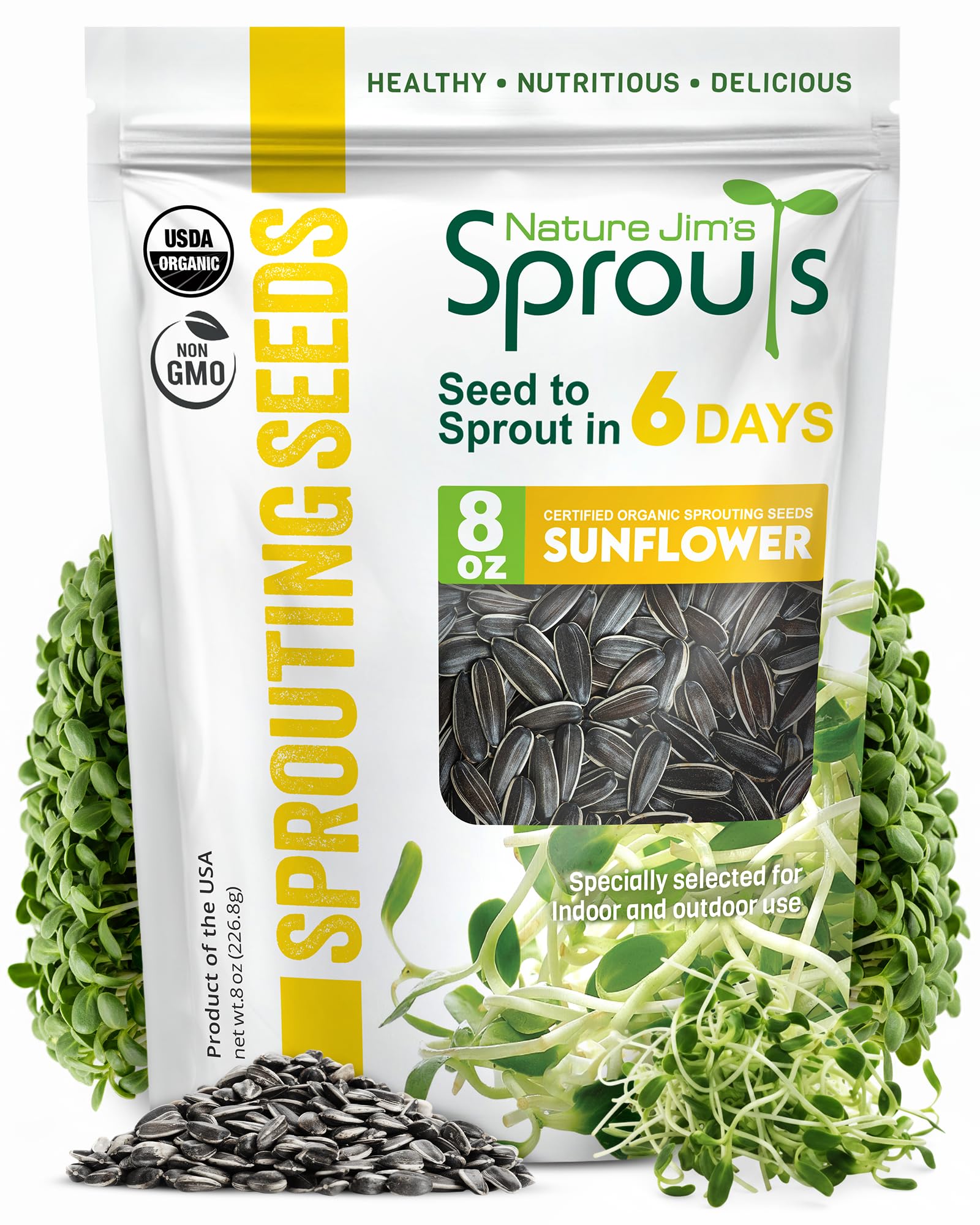 Nature Jims Sprouts sunflower seeds sprouting in a jar for fresh microgreens.