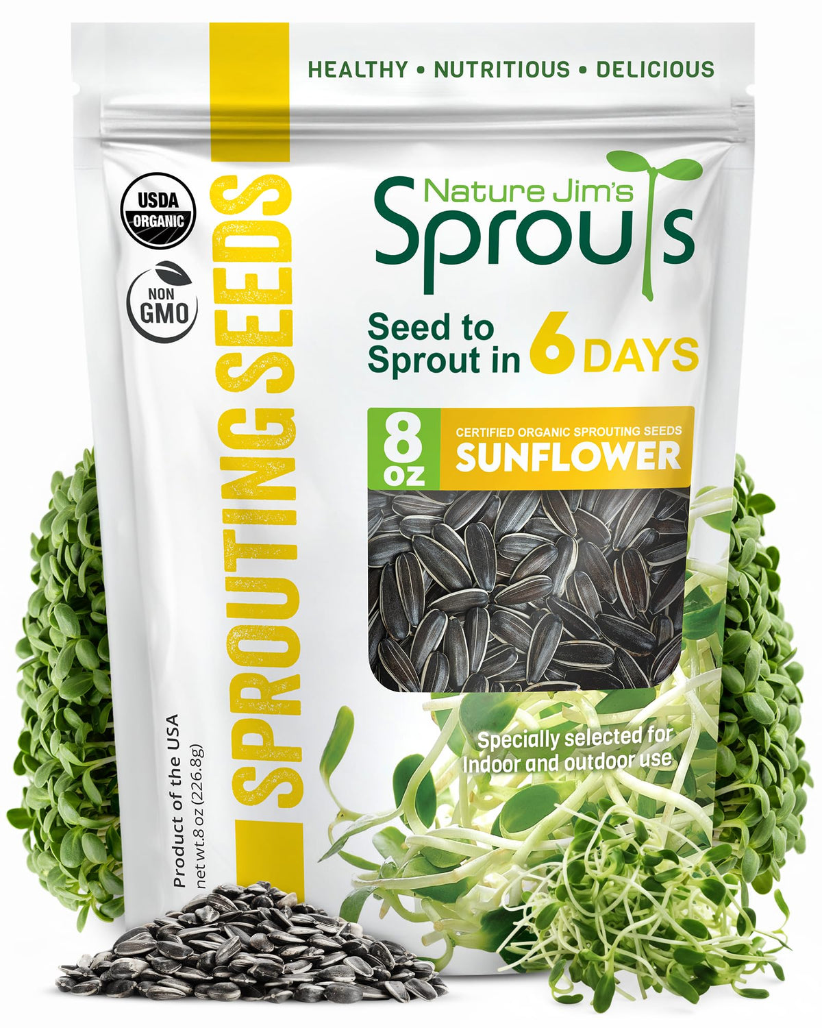Nature Jims Sprouts sunflower seeds sprouting in a jar for fresh microgreens.