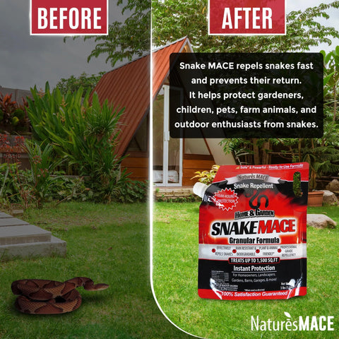 Nature's MACE pet-safe usage supports safe outdoor spaces.