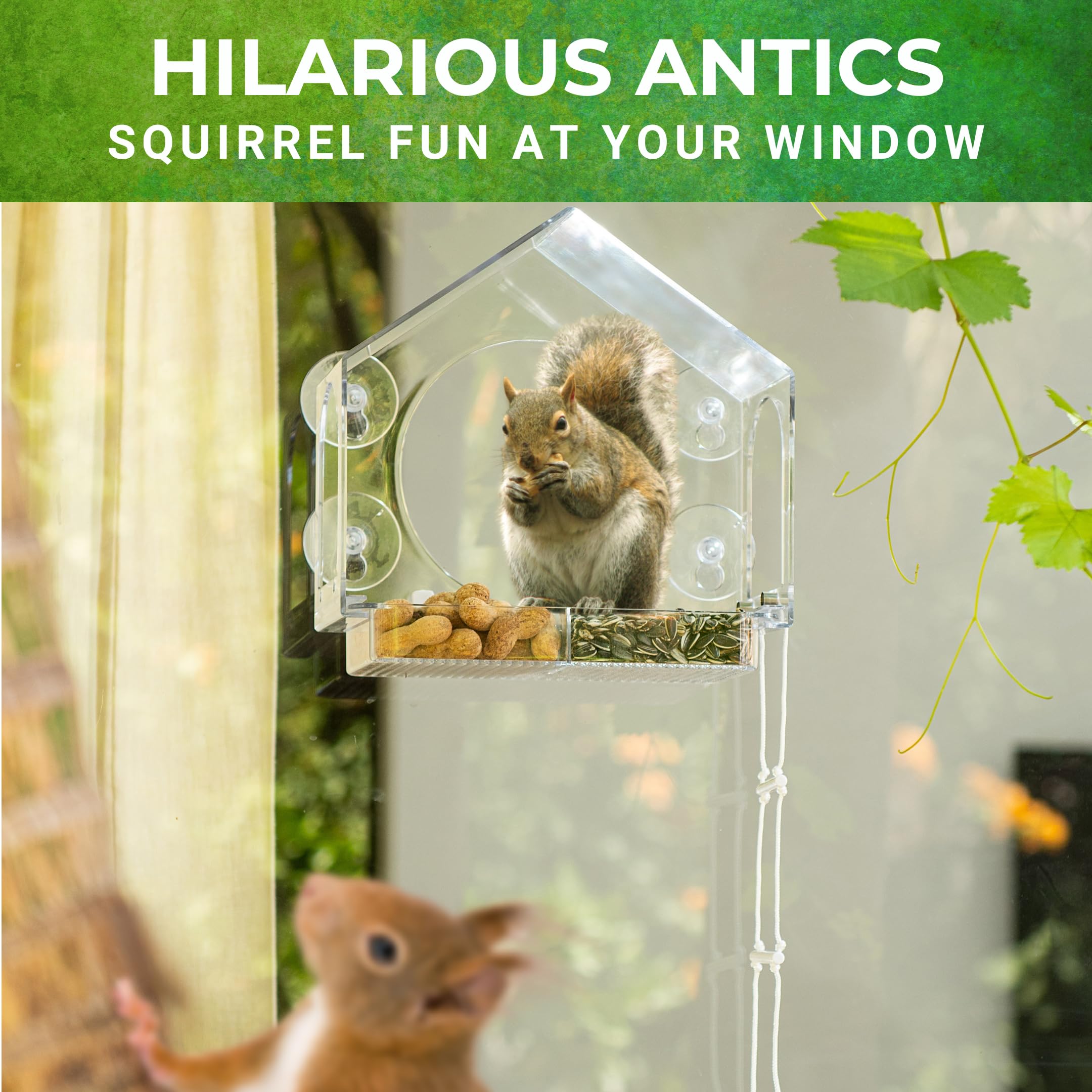 Nature Anywhere chipmunk-feeder-outdoor-view: invite lively visitors with no assembly required.