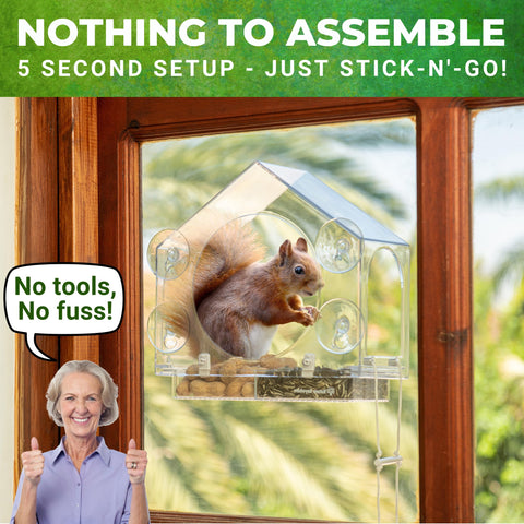 Nature Anywhere outdoor-squirrel-view: simple setup and delightful backyard viewing.