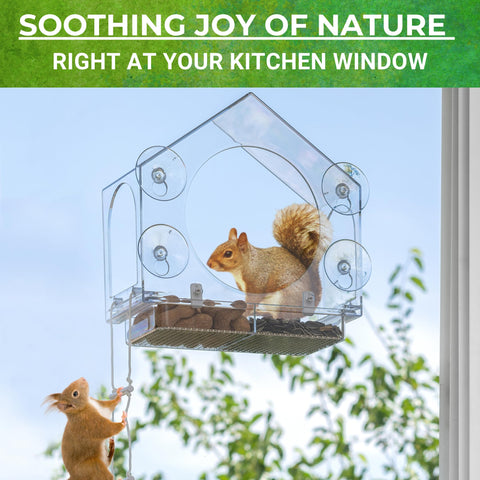Nature Anywhere family-friendly-squirrel-feeder: enjoy calm moments with curious backyard visitors.