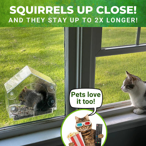 Nature Anywhere window-squirrel-feeder-closeup: premium construction details for lasting outdoor use.