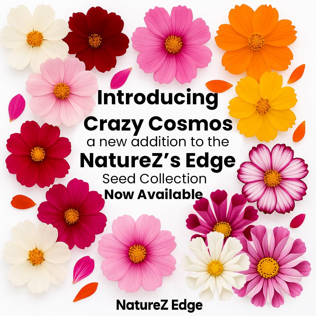 NatureZ Edge cosmos varieties close-up showing heirloom color diversity for garden color.
