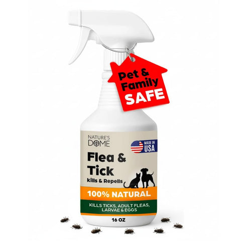 Nature's Dome outdoor spray bottle for eco-friendly lawn pest control.