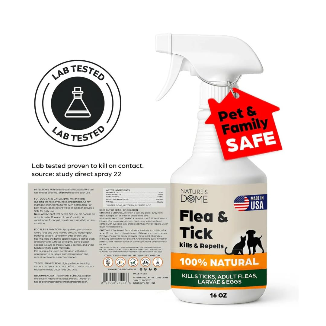 Applying Nature's Dome flea and tick spray to a patio for pet protection.