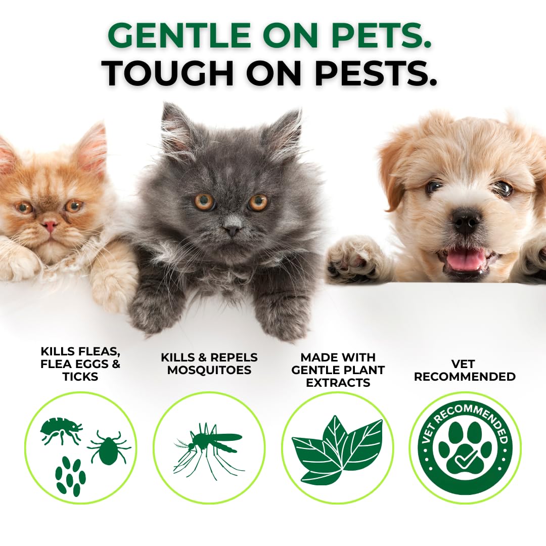 Regular applications help maintain protection around lawns and patios.