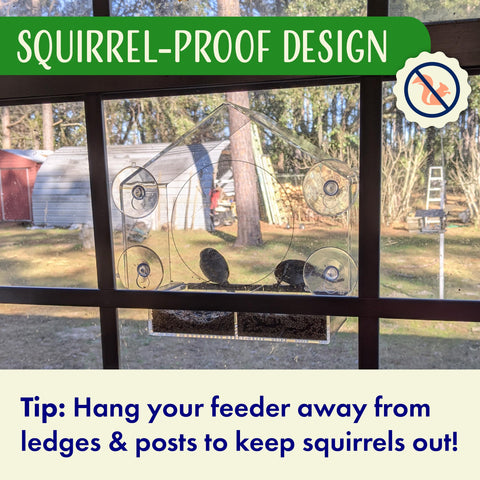 Nature's Hangout balcony viewer provides tranquil wildlife moments from your home.