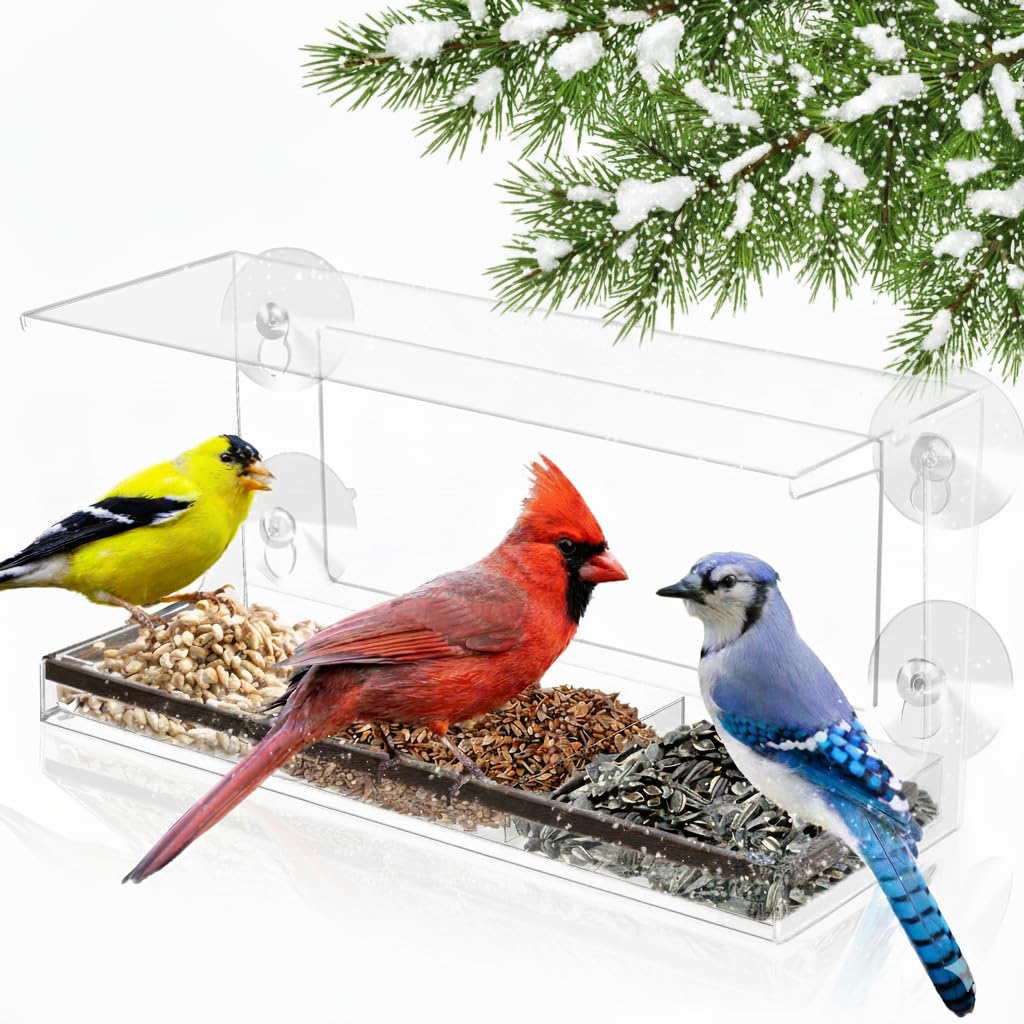 Nature's Hangout Clear Window Bird Feeder mounted on glass with six suction cups.