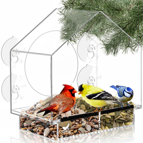 Nature's Hangout clear window feeder provides unobstructed window-view for relaxing birding moments.