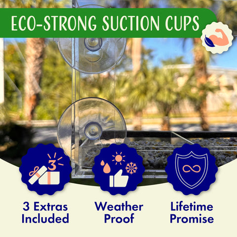 Nature's Hangout feeder's detachable viewing box for easy cleaning.