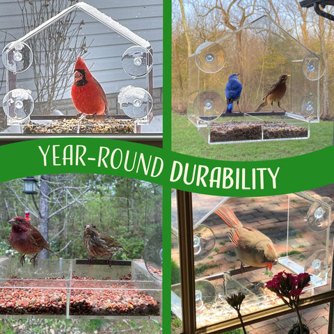 Easy-fill seed tray on Nature's Hangout window feeder for quick refills