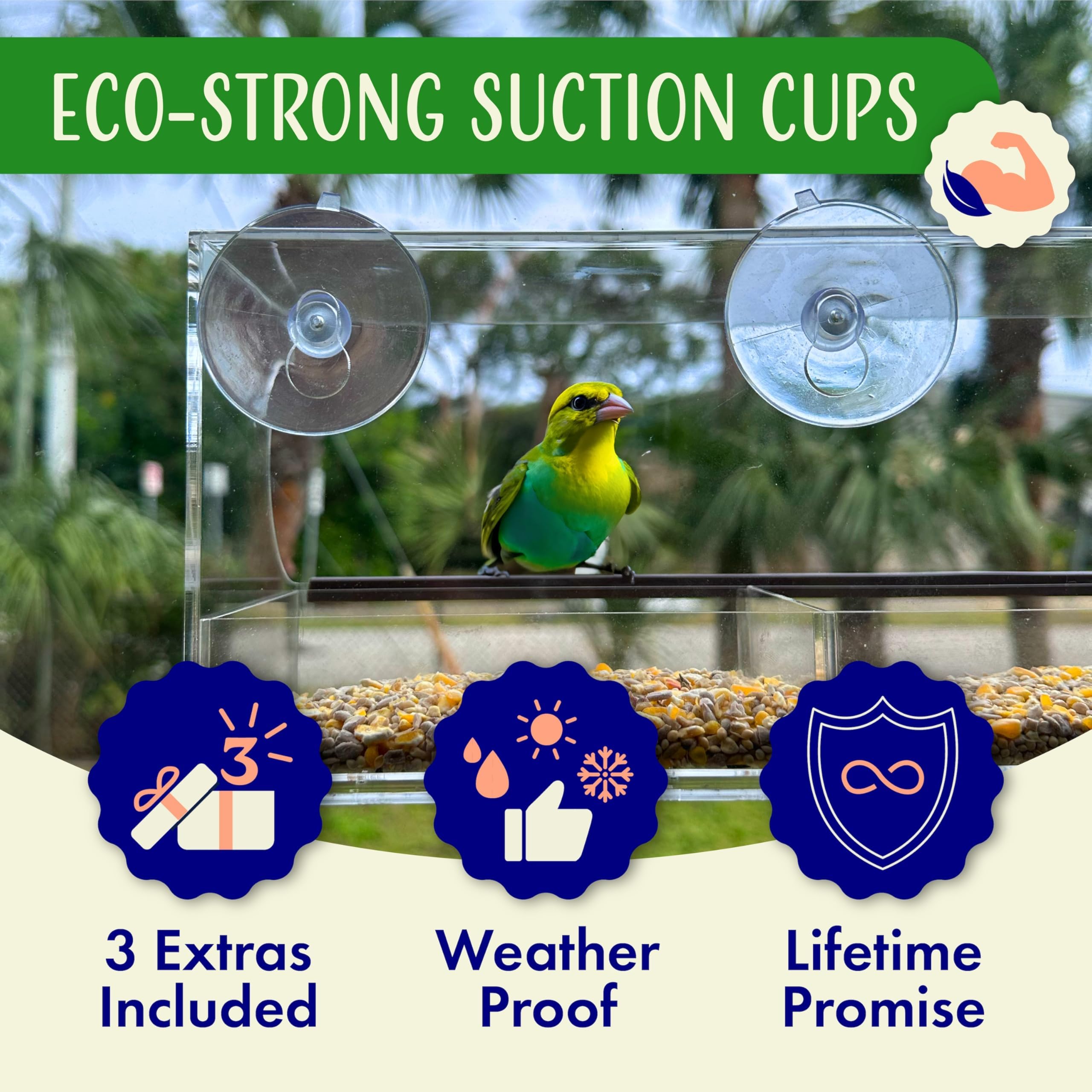 Nature’s Hangout large-capacity seed tray supports longer birdwatching sessions.