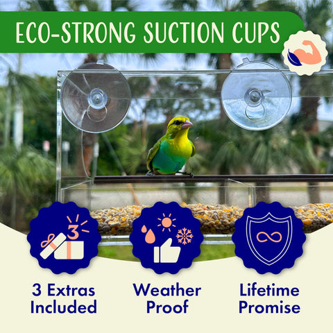 Nature’s Hangout large-capacity seed tray supports longer birdwatching sessions.